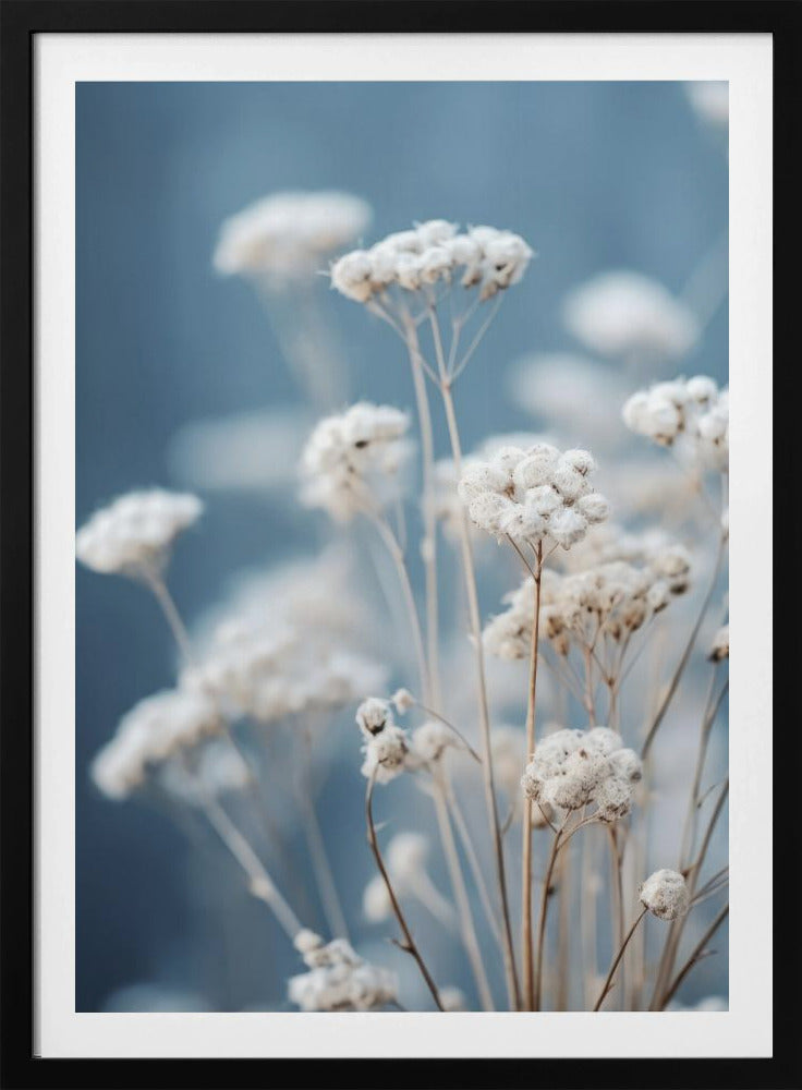 Delicate Whispers | Poster