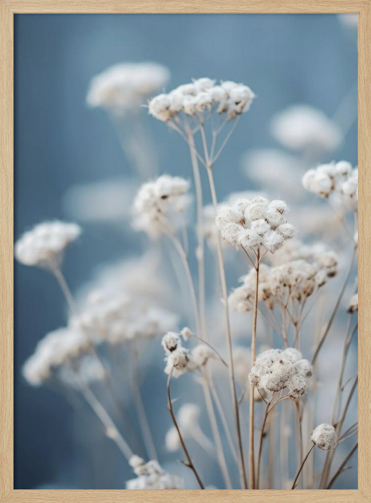 Delicate Whispers | Poster