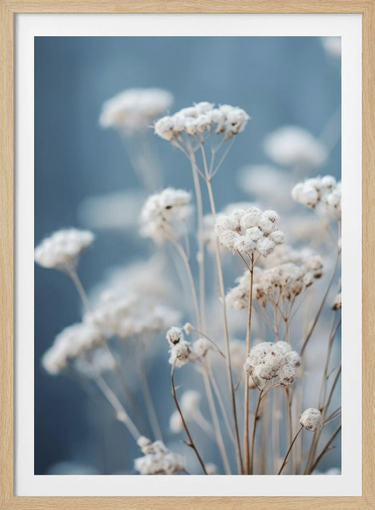 Delicate Whispers | Poster