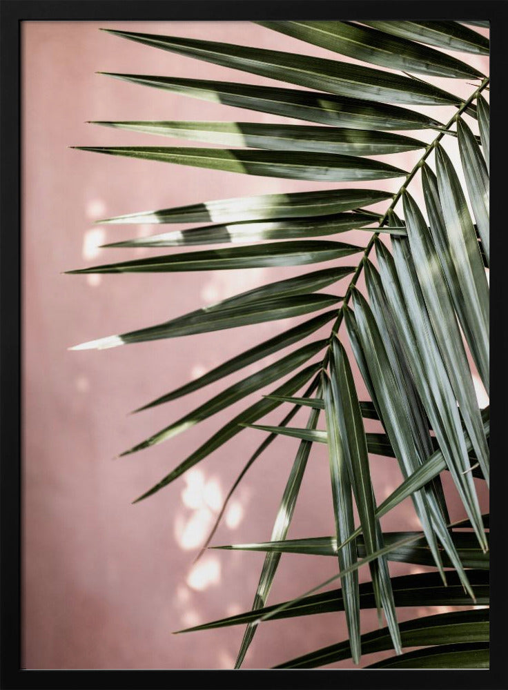 Palm Leaves 23 | Poster