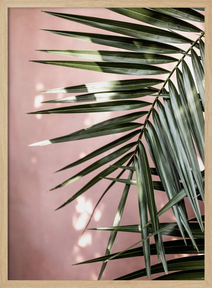 Palm Leaves 23 | Poster