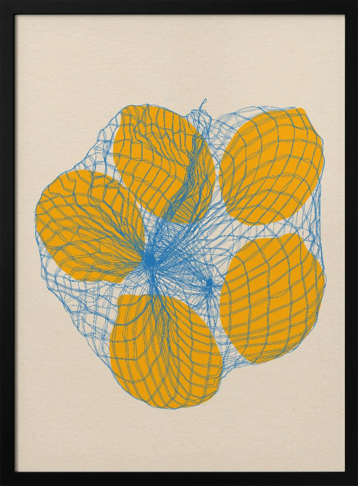 Five Lemons In a Net Bag | Poster