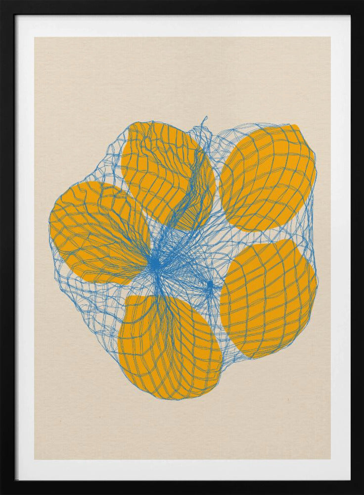 Five Lemons In a Net Bag | Poster