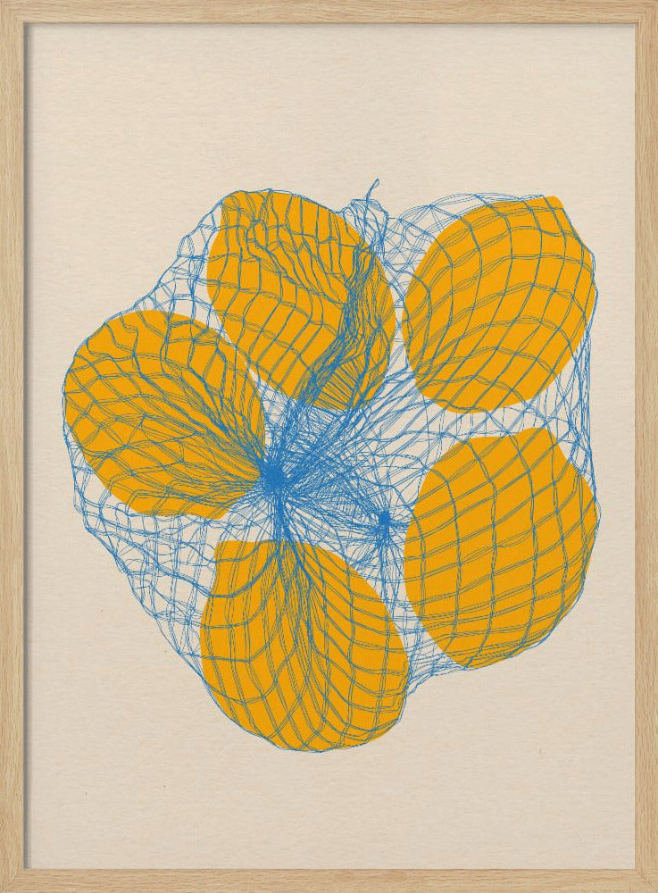 Five Lemons In a Net Bag | Poster