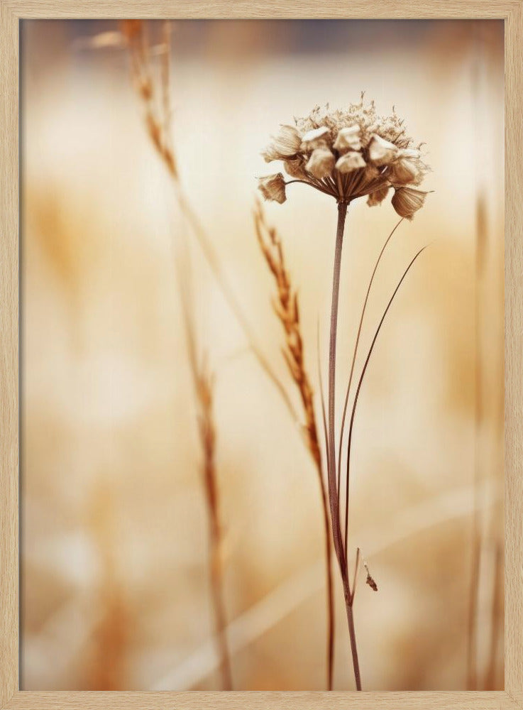 Whispering Fields | Poster