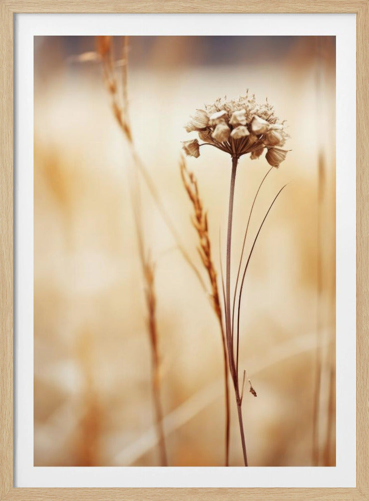 Whispering Fields | Poster