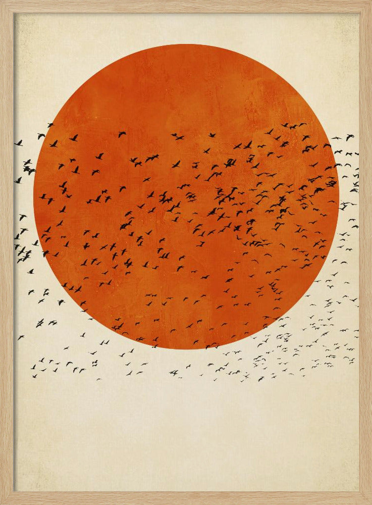 Birds In the Sun | Poster