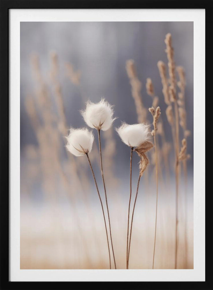 Winter Whispers | Poster