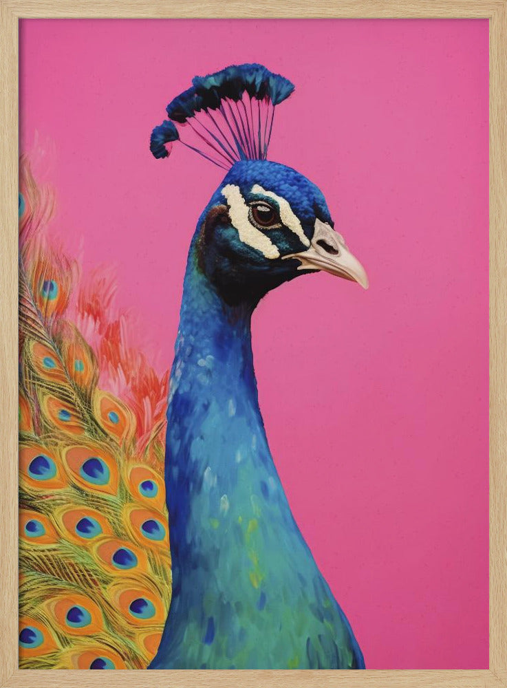 Peacock's Vibrance | Poster