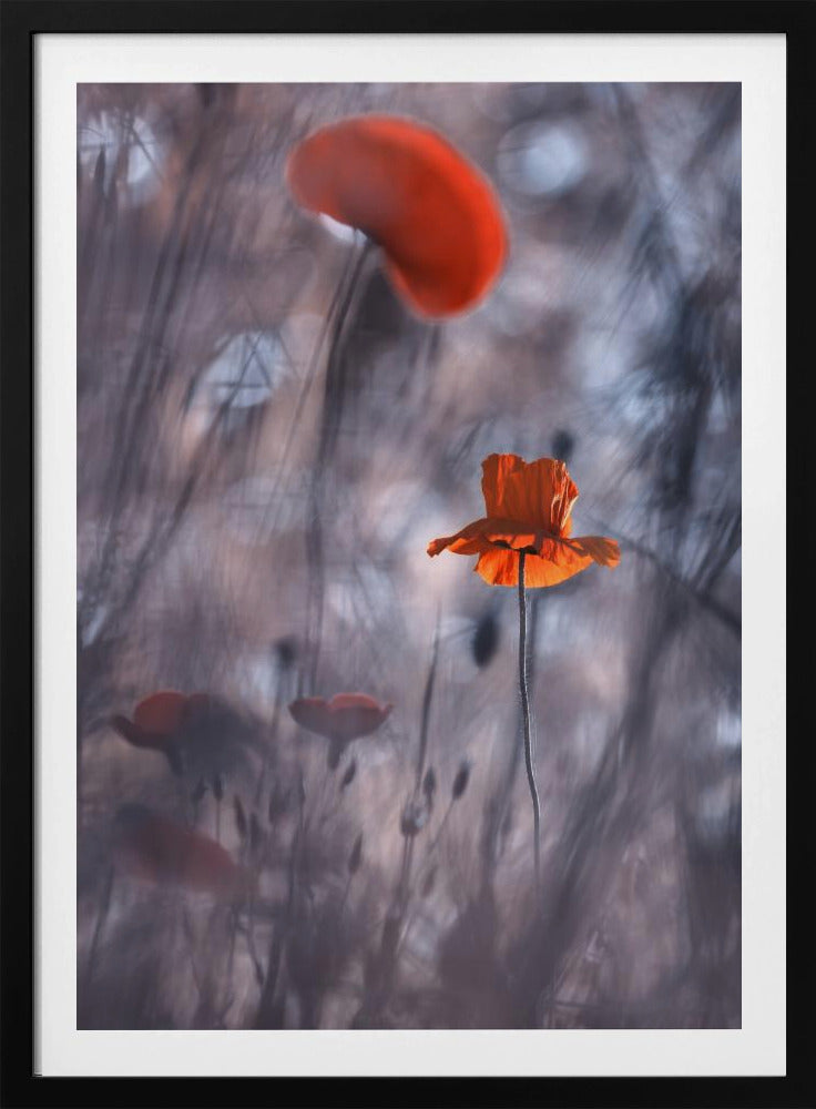 Desires and Passions | Poster