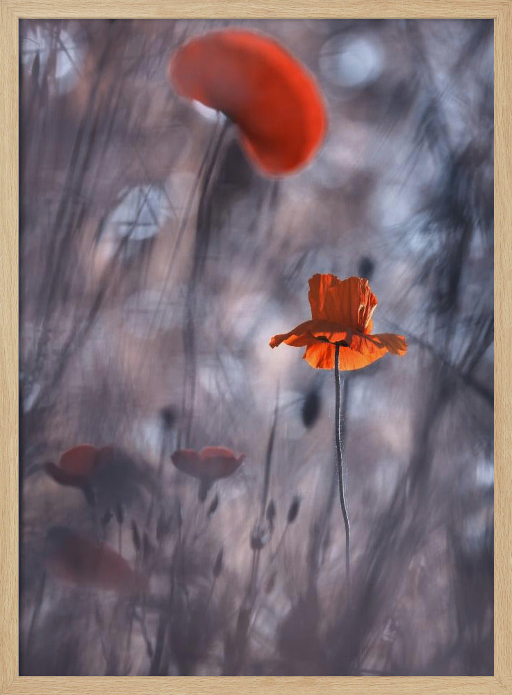 Desires and Passions | Poster