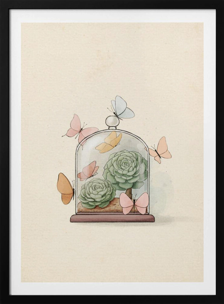 Succulent Fairy Plant | Poster