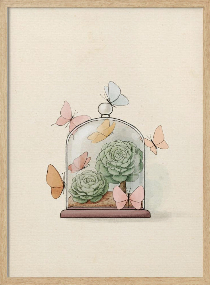 Succulent Fairy Plant | Poster