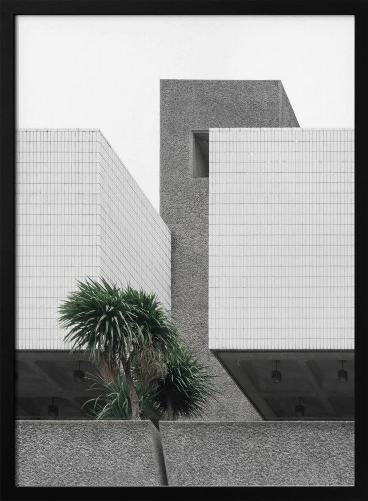 Lonely Palms | Poster