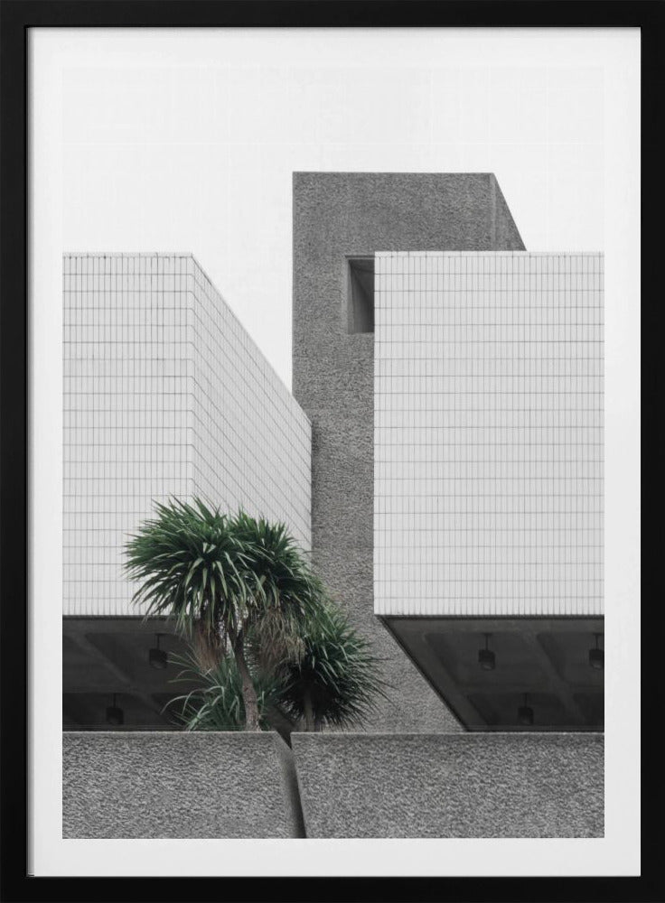 Lonely Palms | Poster