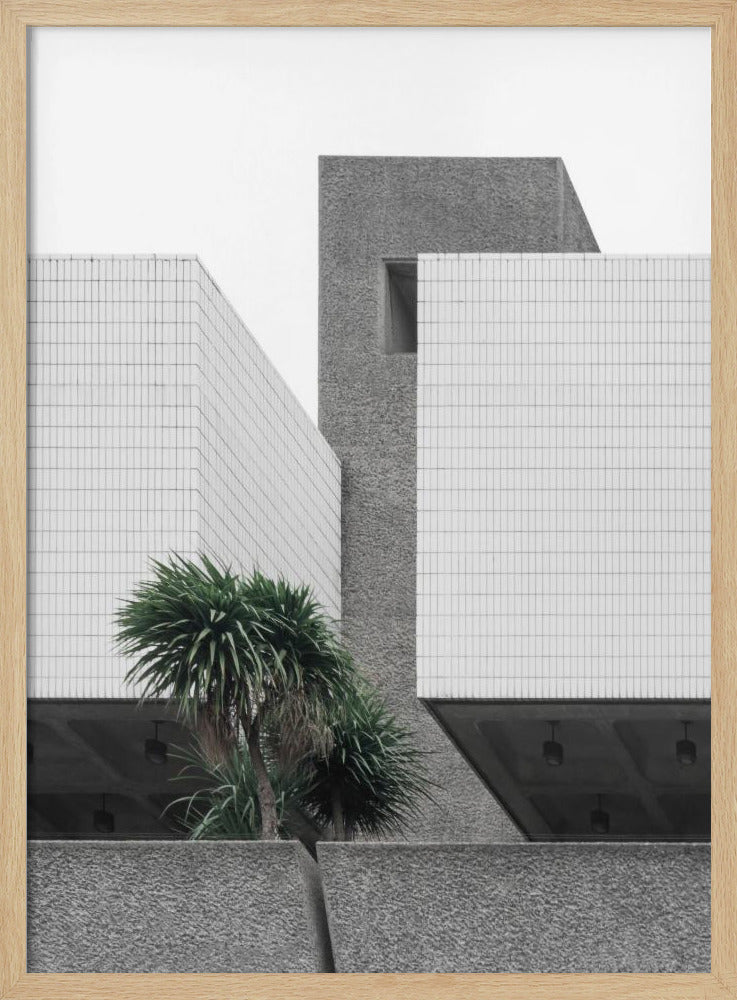 Lonely Palms | Poster