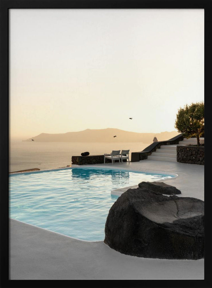 Birds Flying Over Swimming Pool | Poster