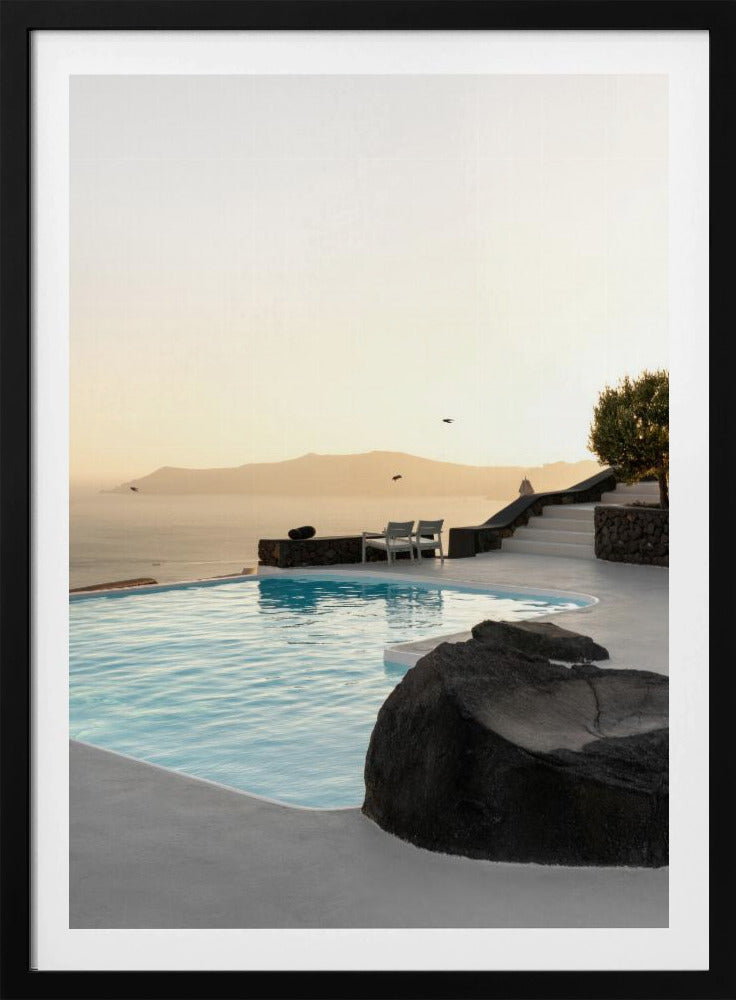 Birds Flying Over Swimming Pool | Poster