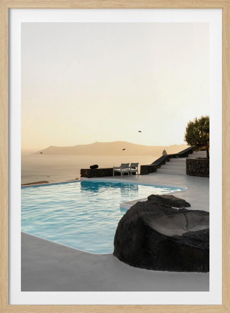 Birds Flying Over Swimming Pool | Poster