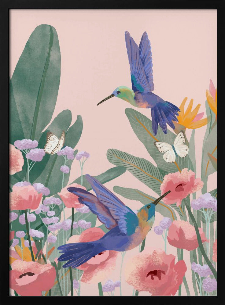 Hummingbirds | Poster