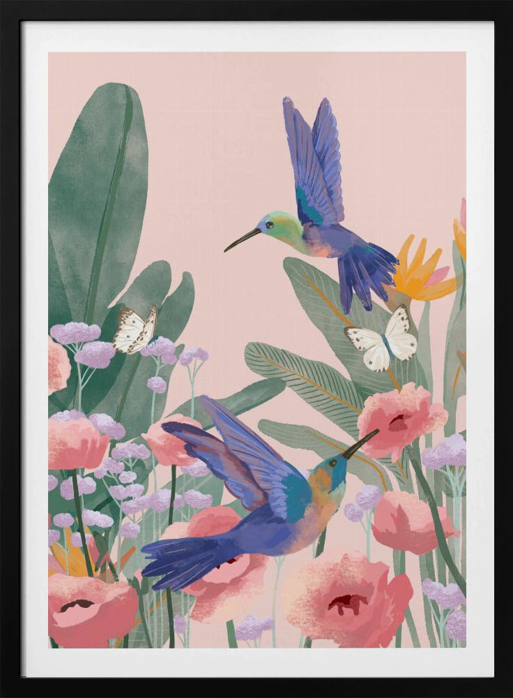 Hummingbirds | Poster