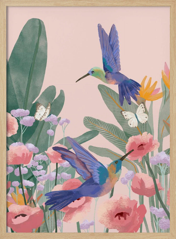 Hummingbirds | Poster