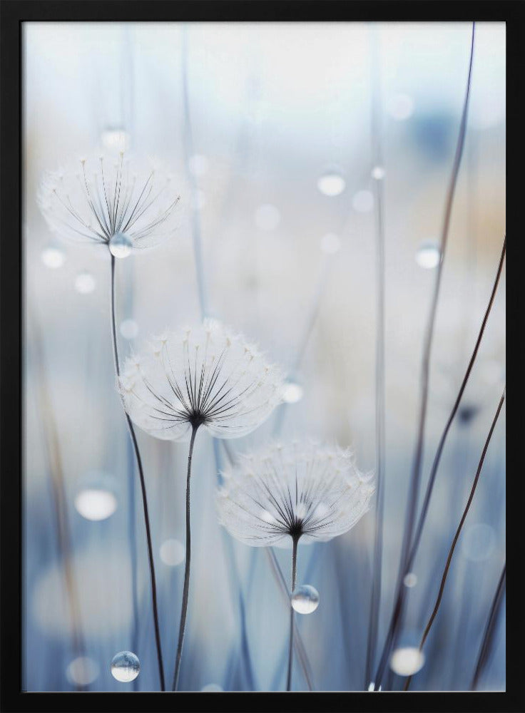 Whispering Seeds | Poster