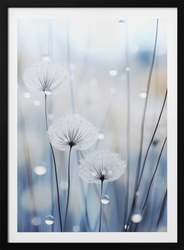 Whispering Seeds | Poster