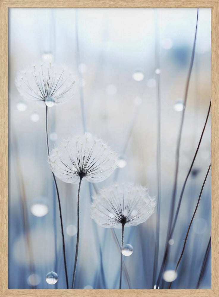 Whispering Seeds | Poster