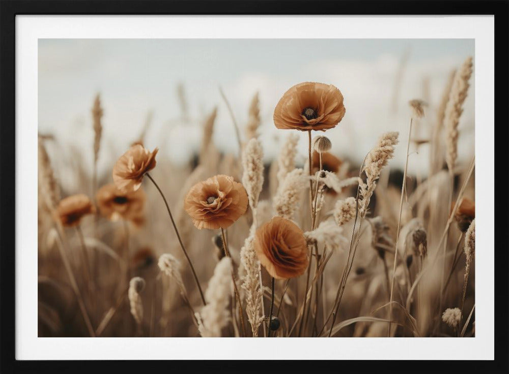 Poppies in Breeze | Poster