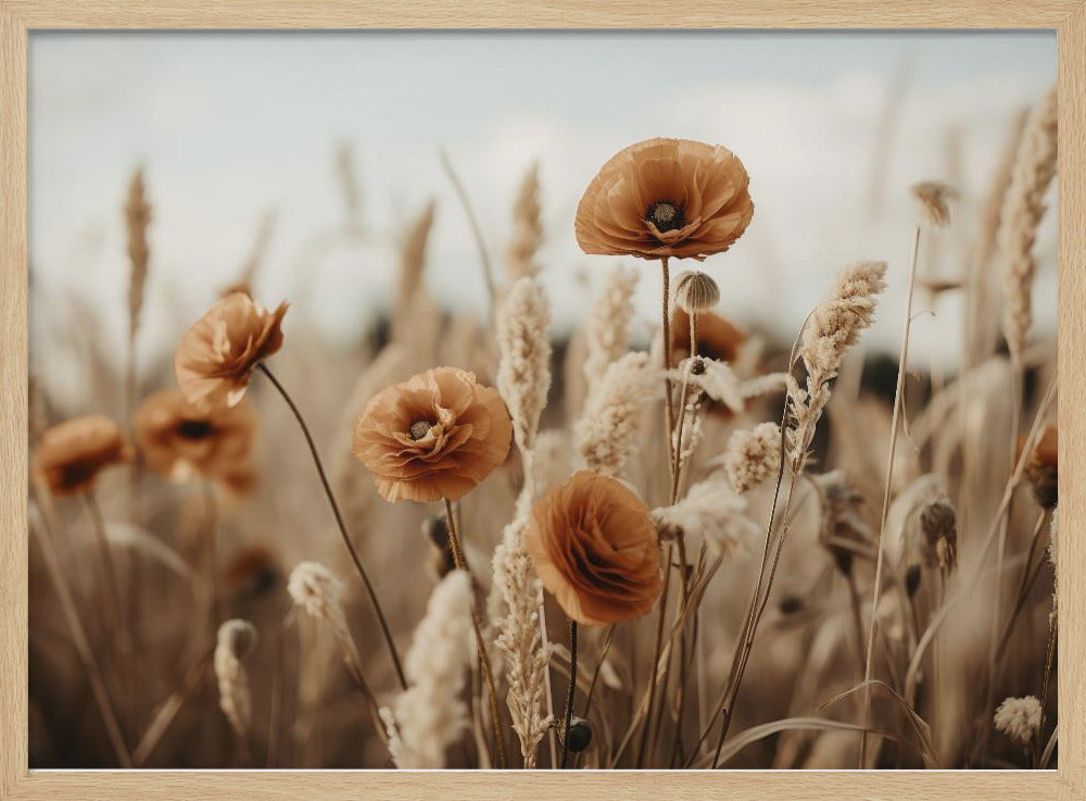 Poppies in Breeze | Poster