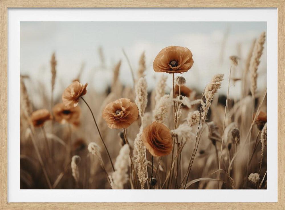 Poppies in Breeze | Poster