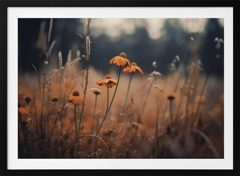 Golden Blossom Field | Poster