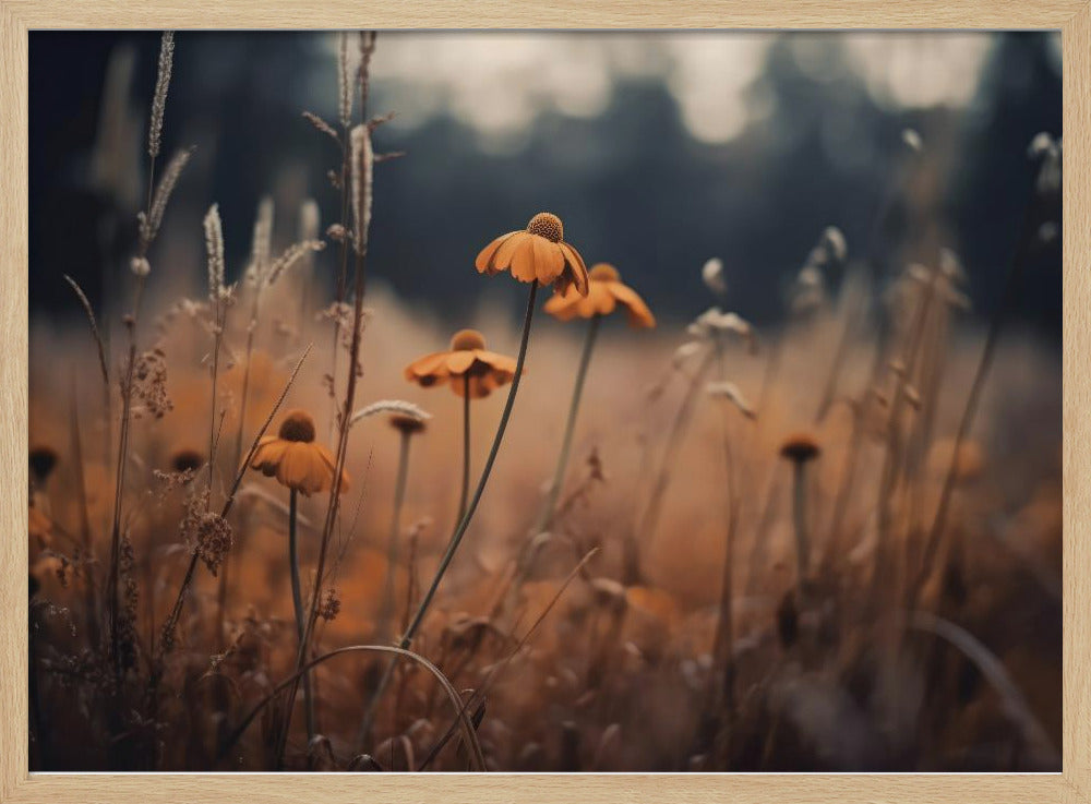 Golden Blossom Field | Poster