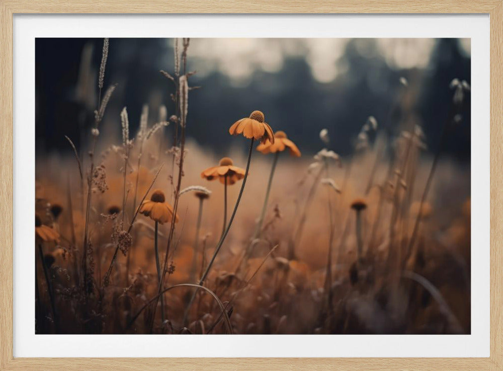 Golden Blossom Field | Poster