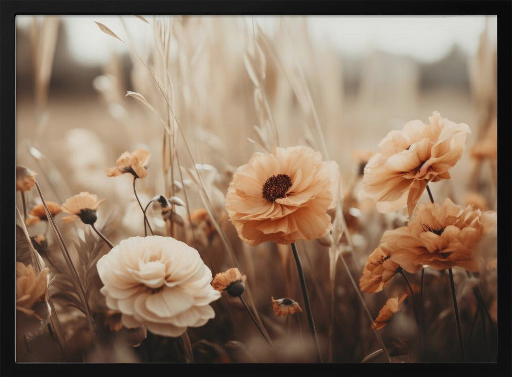 Sepia Blooms | Poster