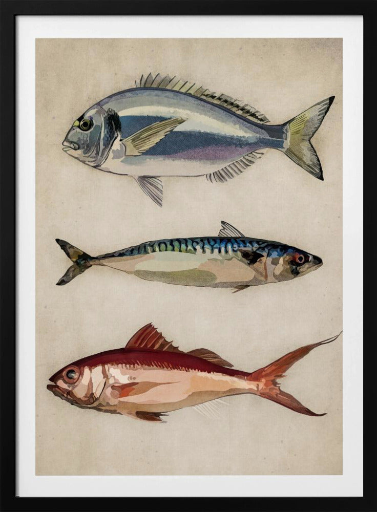 Trio of Ocean Life | Poster