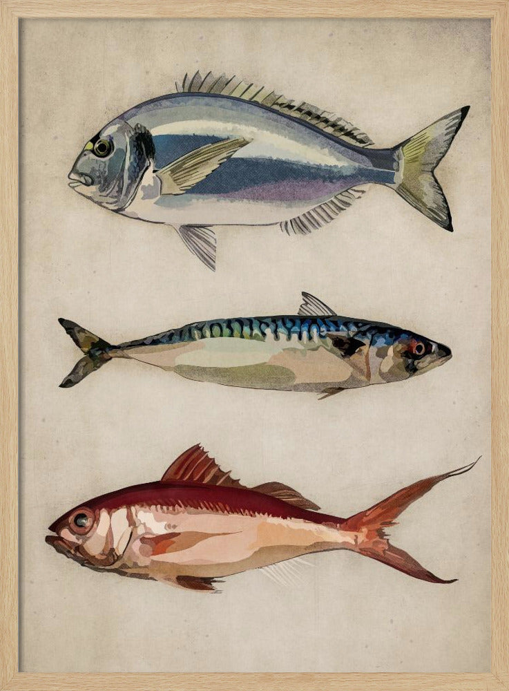 Trio of Ocean Life | Poster