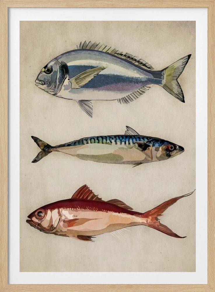 Trio of Ocean Life | Poster