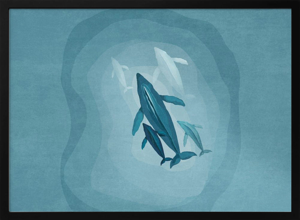 Gentle Giants Swim | Poster