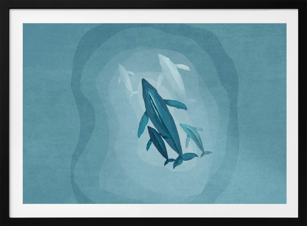 Gentle Giants Swim | Poster