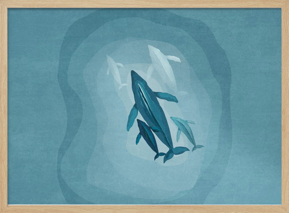 Gentle Giants Swim | Poster