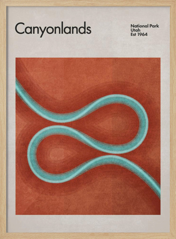 Winding River Paths | Poster