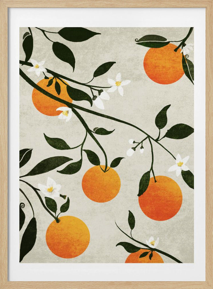 Oranges in Bloom | Poster