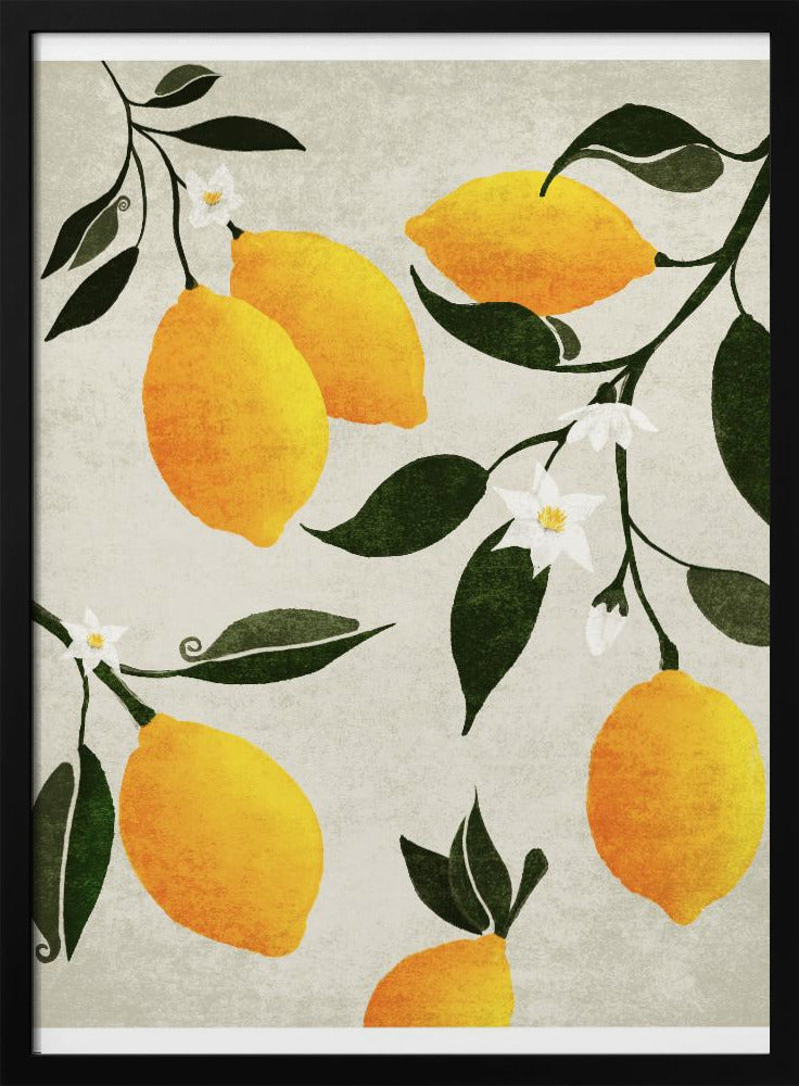 Citrus Symphony | Poster