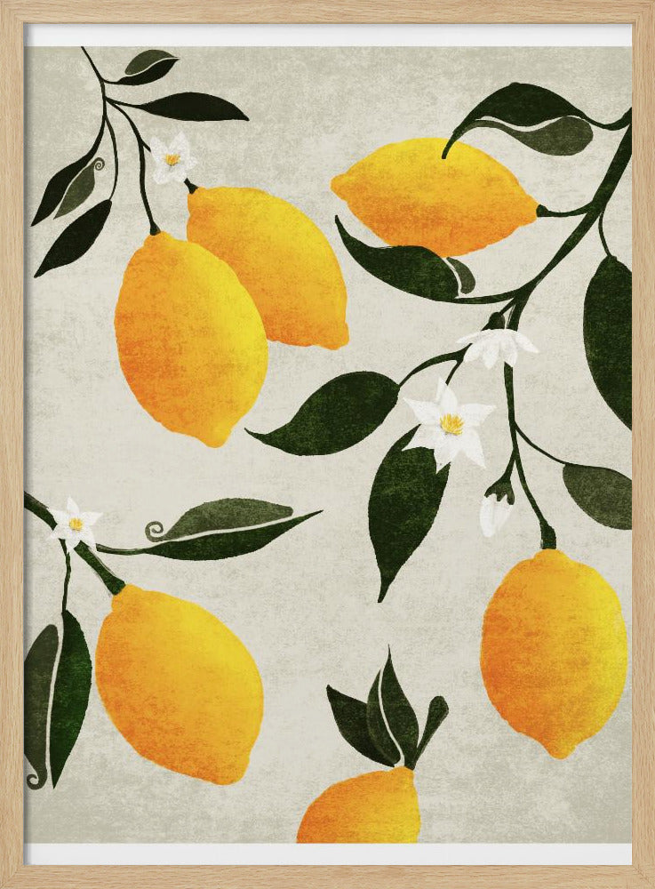 Citrus Symphony | Poster
