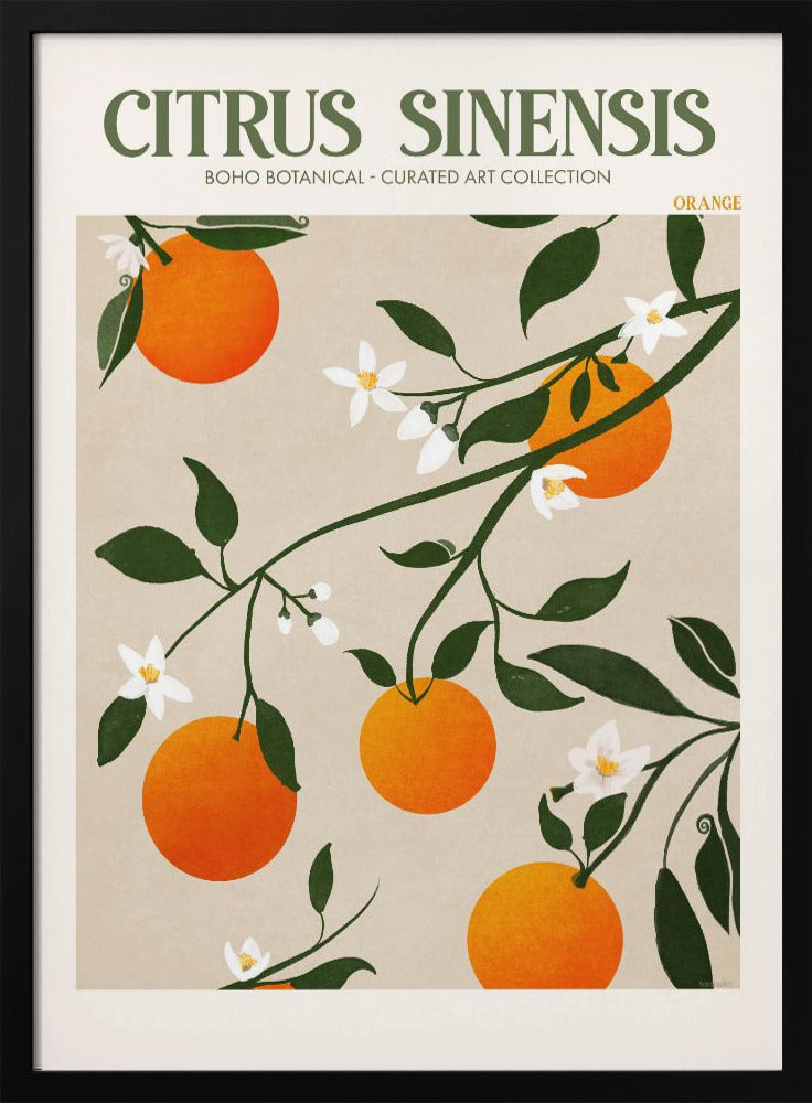 Orange Elegance | Poster