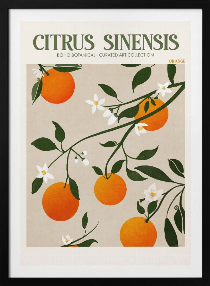 Orange Elegance | Poster