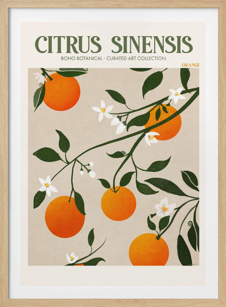 Orange Elegance | Poster