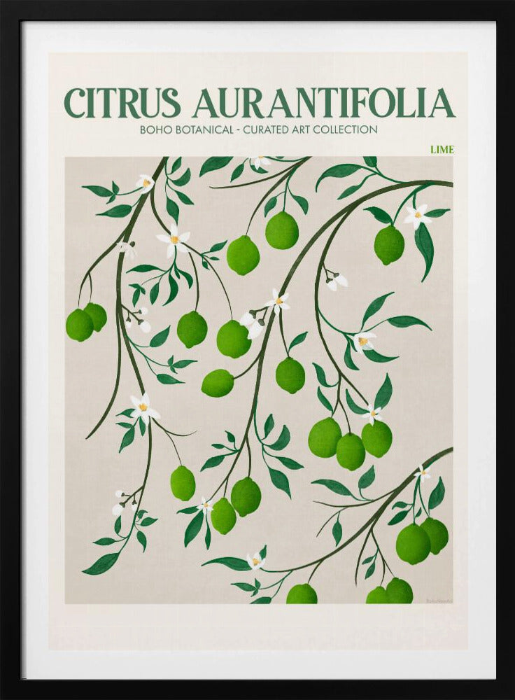 Botanical Lime Bliss | Poster
